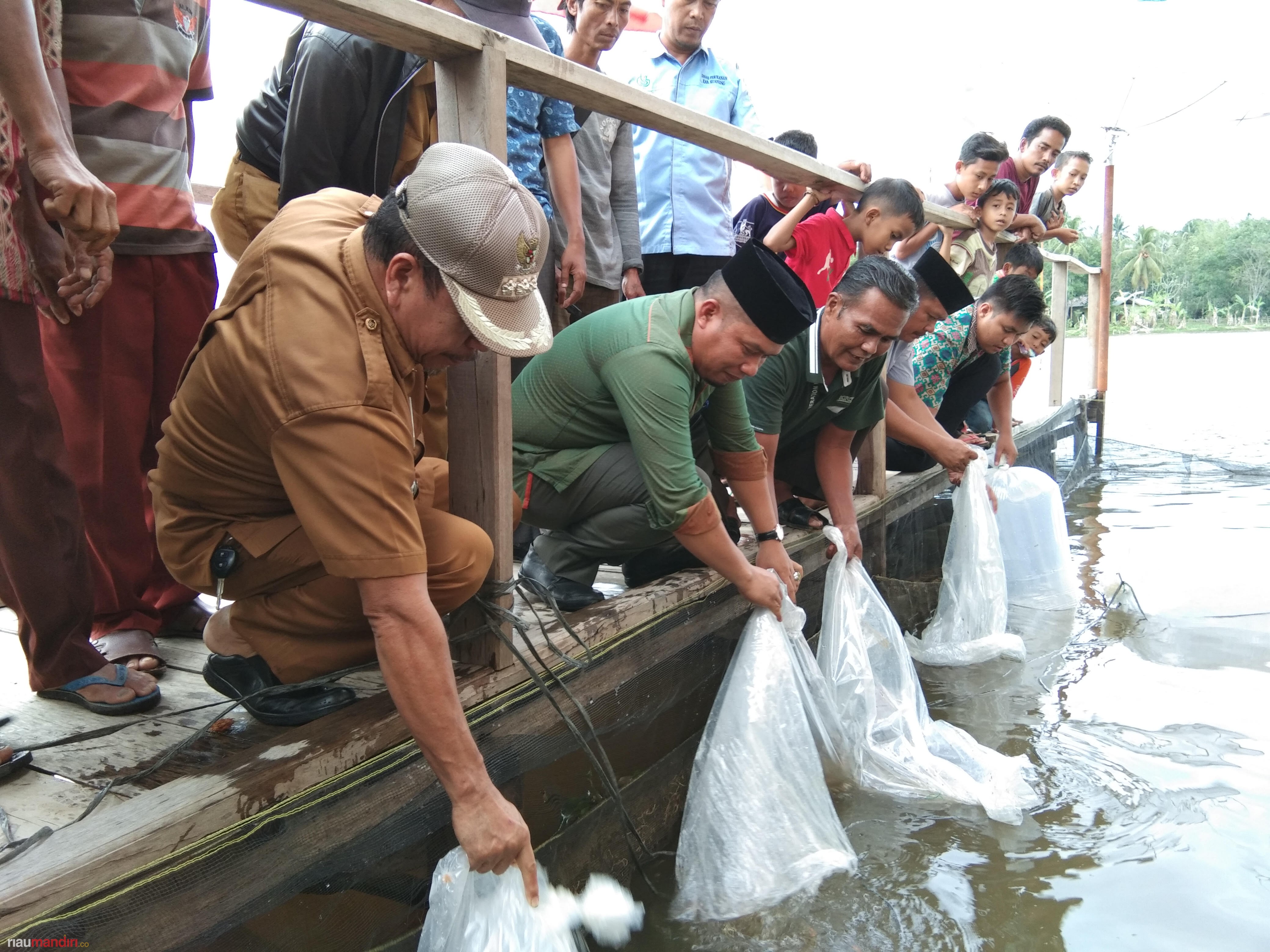 4.000 Benih Ikan Ditebar di Danau Sungai Sorik Kuansing